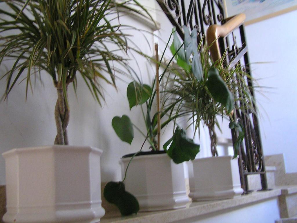 Apartments Paloma Blanca Medulin Habitación foto