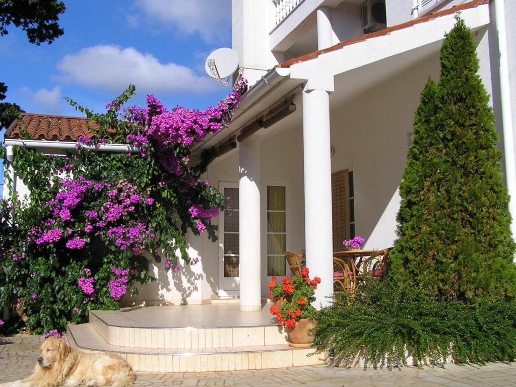 Apartments Paloma Blanca Medulin Habitación foto